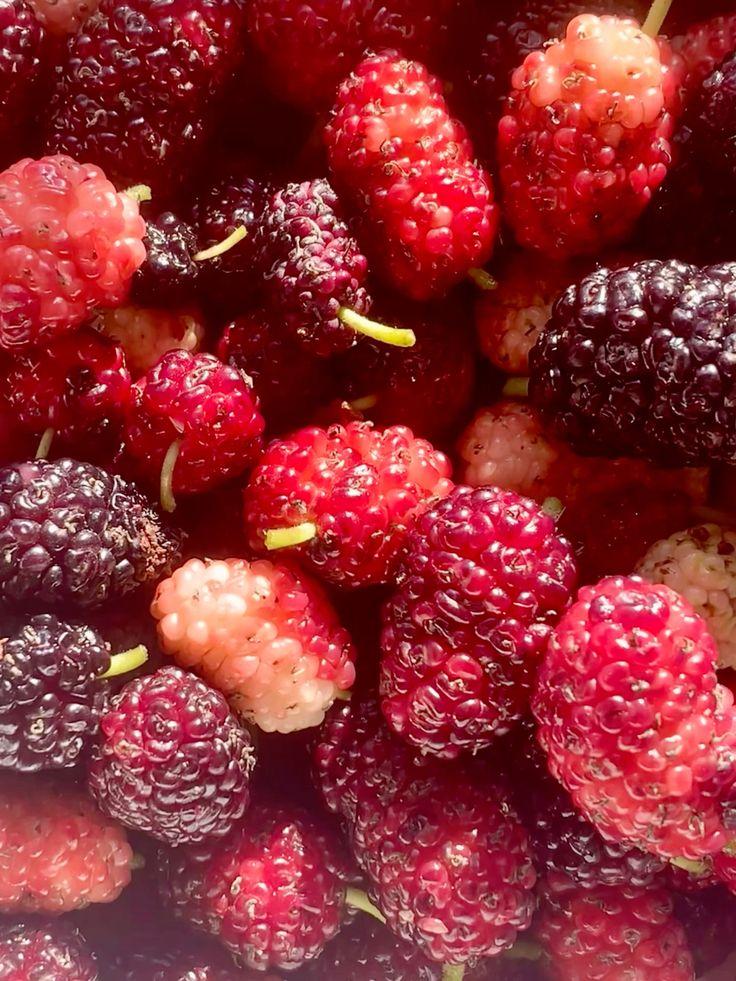 Garden Whisper: Exquisite Heirloom Berry Fusion